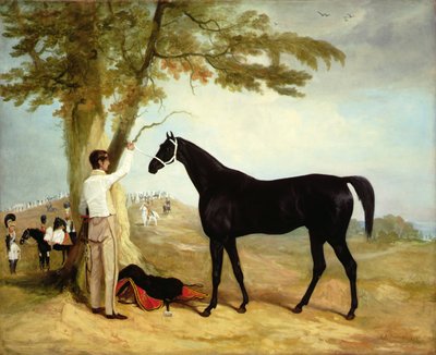 Thomas Cosbys Pferd 