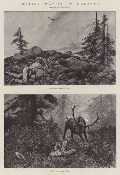 Wapiti-Jagd in Montana von Richard Caton Woodville junior