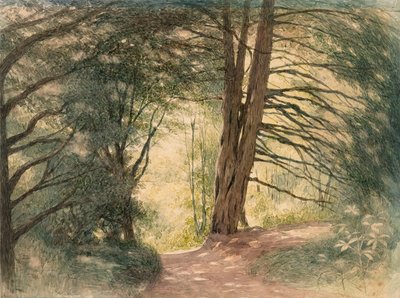 Box Hill, Surrey von Richard Doyle