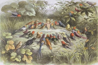 Musikprobe im Feenland (Illustration aus "Im Feenland. Bilder aus der Elfen-Welt", von William Allingham und Andrew Lang) von Richard Doyle