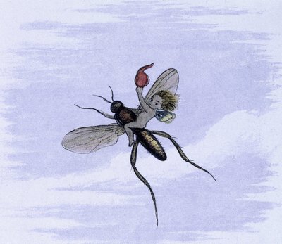 Ein Elf auf dem Rücken eines Insekts. Illustration von Richard Doyle aus 