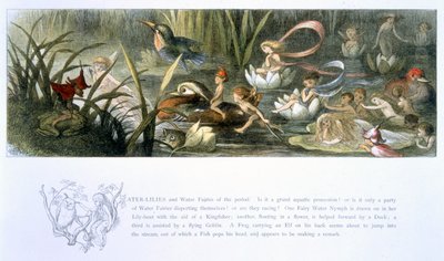 Seerosen und Wasserfeen, Illustration aus 