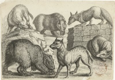 Zwei Bären, zwei Wölfe und zwei Füchse, Tiere nach verschiedenen Künstlern (Serientitel) von Richard Gaywood