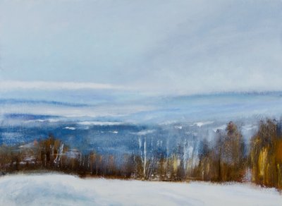 Gelassene Winterlandschaft von Richard Gombar