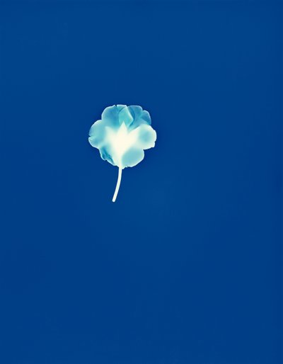 Ohne Titel, 2002 von Richard Green