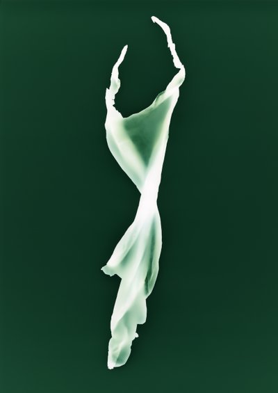 Ohne Titel von Richard Green