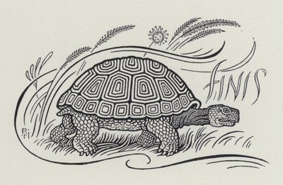 Der Hase und die Schildkröte (Stich) von Richard Heighway