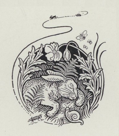Der Hase und die Schildkröte von Richard Heighway