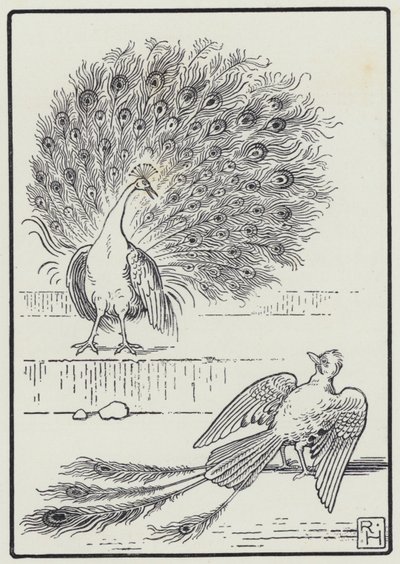 Der Eichelhäher und der Pfau von Richard Heighway