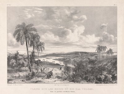 Campos an den Ufern des Rio das Velhas von Richard Parkes Bonington