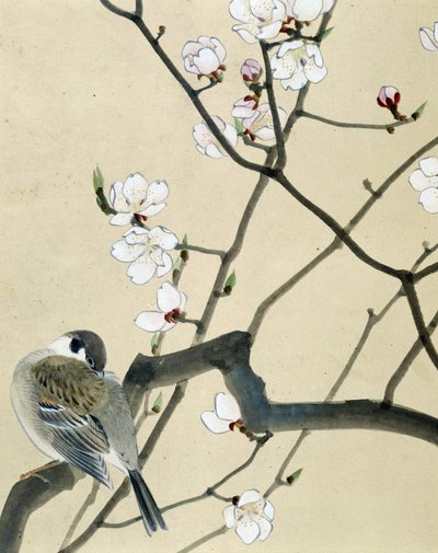 Vogel - Japanische Zeichnung von Riou Chim von Riu Chim