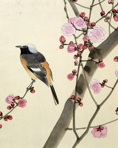 Vogel - Japanische Zeichnung von Riou Chim von Riu Chim