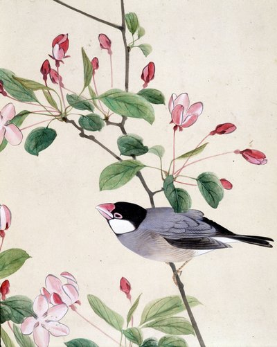 Vogel - Japanische Zeichnung von Riou Chim, späte 19. Jahrhundert von Riu Chim