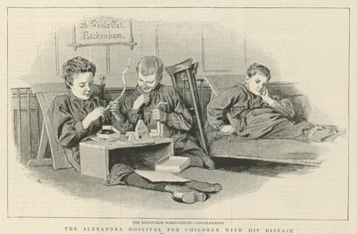 Das Alexandra-Krankenhaus für Kinder mit Hüftkrankheiten: Die Edinburgh-Station von Robert Barnes