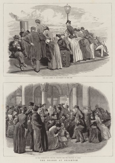 Die Saison in Brighton von Robert Barnes