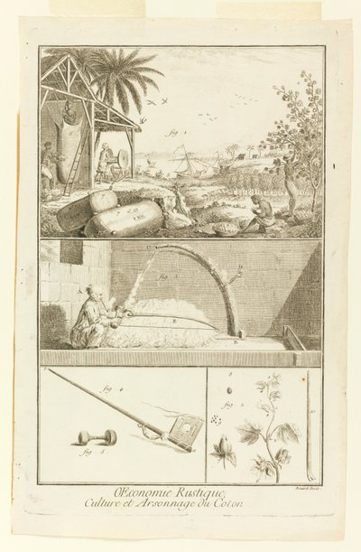 "Kultur und Brandrodung des Baumwollanbaus" aus Diderots Enzyklopädie, Bd. I von Robert Benard