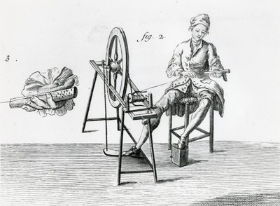 Ländliche Wirtschaft, Baumwolle, aus der Enzyklopädie von Denis Diderot 1713-84 von Robert Benard