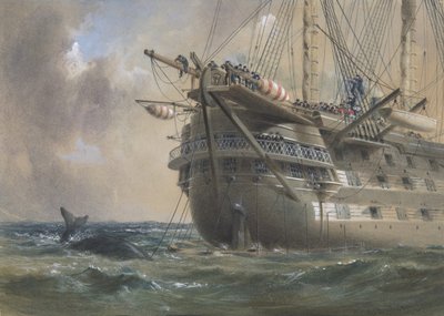 H.M.S. Agamemnon legt das Atlantische Telegraphenkabel 1858: Ein Wal kreuzt die Linie von Robert Charles Dudley