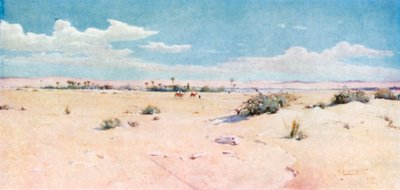 Tel-el-Kebir von Robert George Talbot Kelly