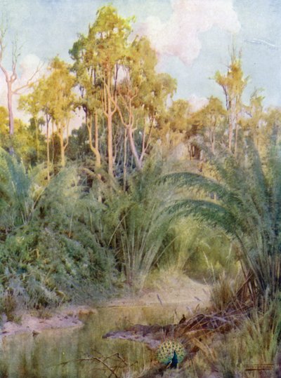 Das Zuhause des Pfaus von Robert George Talbot Kelly