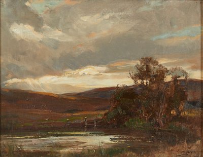 Abend auf der Swire Road, Ettrick Bridge von Robert Hope