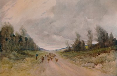 Auf einer Straße in Northumberland von Robert J Hewitt