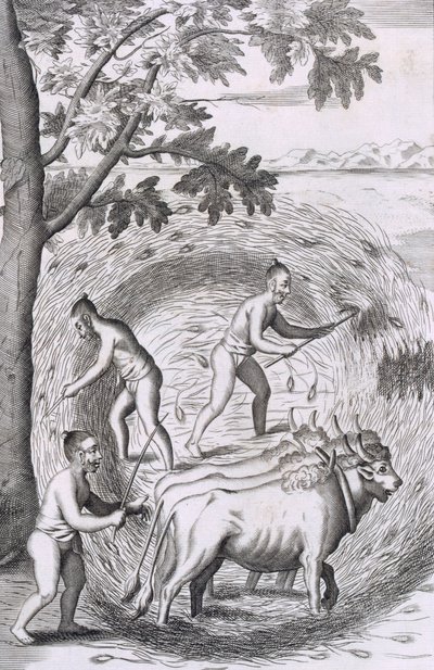 Die Art, ihren Reis zu stampfen, aus An Historical Relation of the Island Ceylon, veröffentlicht 1681 (Gravur) von Robert Knox