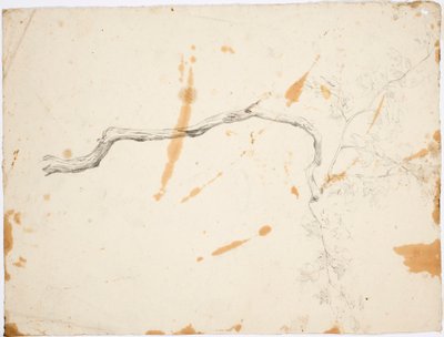 Motiv aus Italien: Gewundener Laubbaum von Robert Wilhelm Ekman