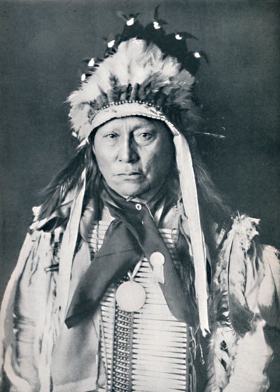 Ein Sioux-Häuptling in seiner Kriegsbemalung von Robert Wilson Shufeldt