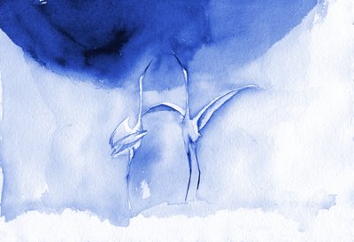 Elegante blaue Kraniche von RodMacIver