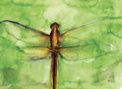 Grüne Libelle Aquarell von RodMacIver