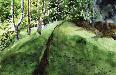 Üppiger Waldweg von RodMacIver