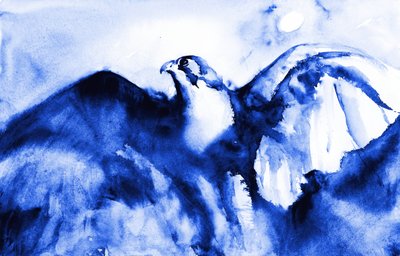Schwebender blauer Falke von RodMacIver