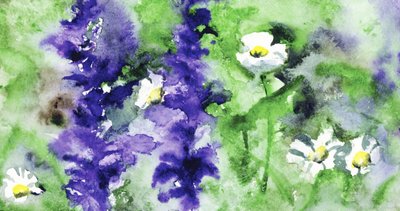 Lebhafter Gartenblumen von RodMacIver
