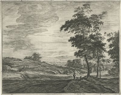Am Rande des Haagse Bos von Roelant Roghman