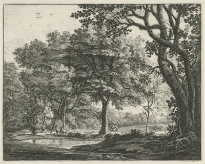 Hirsche im Haagse Bos von Roelant Roghman