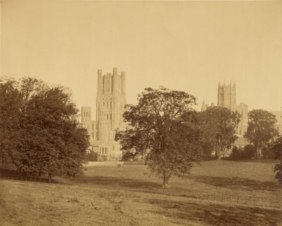 Ely Kathedrale vom Park aus von Roger Fenton