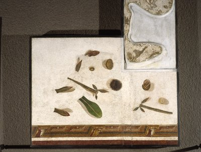 „Asarotos“ (Boden ungesäubert) Fragmente eines Mosaiks, signiert von Harakliton aus Rom, 2. Jahrhundert n. Chr., Rom von Roman