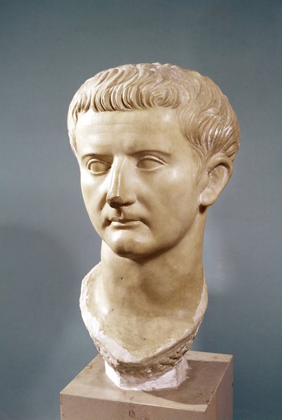 Kopf des Kaisers Tiberius (42 v. Chr. - 37 n. Chr.) (Marmor) von Roman