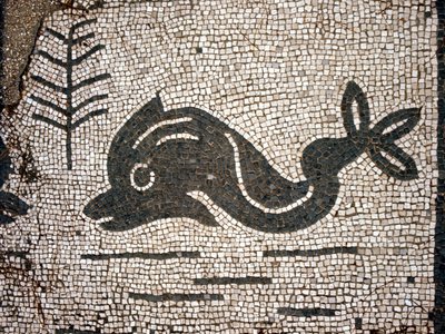 Darstellung eines Delfins nach einem Mosaik auf dem Platz der Corporazioni von Ostia Antica von Roman