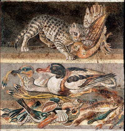 Römische Kunst: Katze frisst ein Rebhuhn und Wildenten Erste Hälfte des 1. Jahrhunderts v. Chr. Rom, Museo Nazionale Romano von Roman