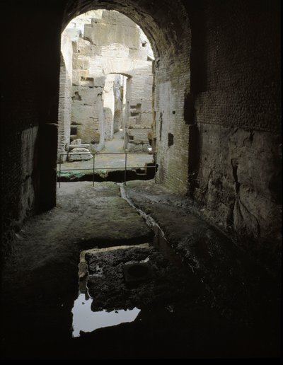 Römische Kunst: Ansicht der unterirdischen Gänge des Kolosseums in Rom, Italien von Roman