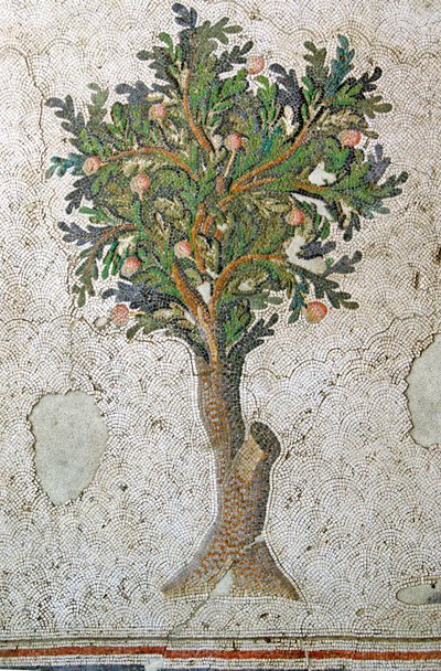 Unbekanntes Bild von Roman