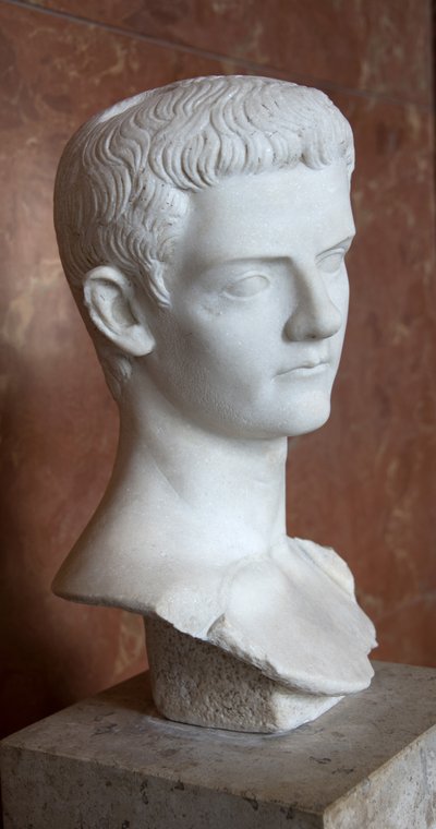 Büste des Kaisers Caligula von Roman Roman