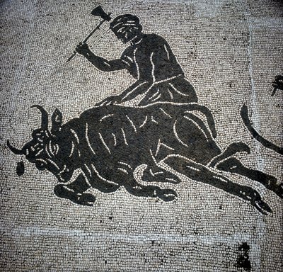 Mosaik, das eine Szene der Stierschlachtung darstellt und in Ostia (bei Rom) gefunden wurde. Derzeit im ehemaligen Feuerwehrhaus von Ostia aufbewahrt. von Roman Roman