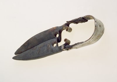 Paar Scheren von Roman Roman