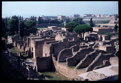 Panoramablick auf die archäologische Stätte von Roman Roman