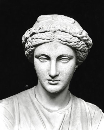 Statue der Clio, die eine Schriftrolle hält, Detail des Kopfes von Roman Roman