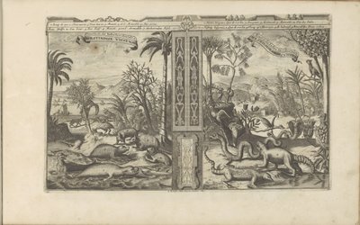 Dieren uit West-Indië von Romeyn de Hooghe