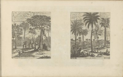 Landschaften mit Mangobäumen, Kokos- und Palmenbäumen von Romeyn de Hooghe